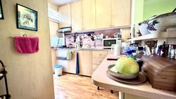 Corona Ville (D10), Condominium #478400341